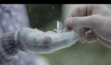 致母亲——生命中某一刻的坚守