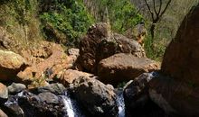 追寻大自然的足迹