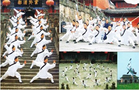 柔岗太极拳