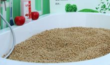 记一次科技体验活动