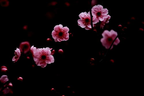 在春天看到一切