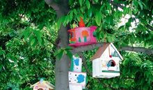 我们的生态校园