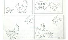 母鸡保护小鸡四幅图的看图写话