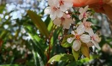 我发现了身边的美