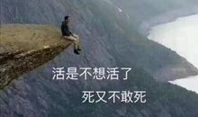 这不是生活