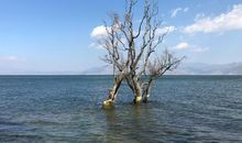 熟悉的地方没有景色