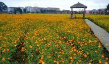 游义乌马畈奇幻乐园