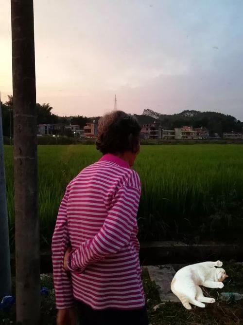 那些画冻结在我心中