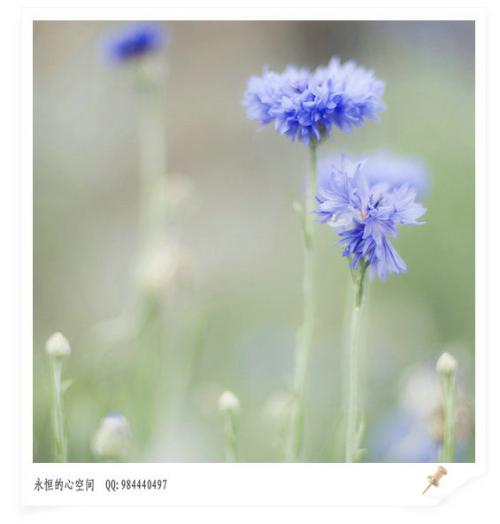 谁带来春天