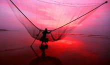 一次捕虾的经历