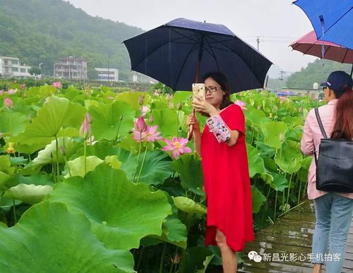 玩姜家凡
