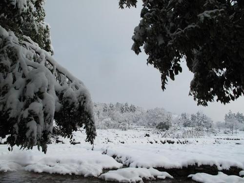 第一次下雪