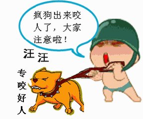 我的“疯狗芋头”