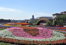 多彩的花坛