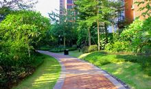 我与北江共成长