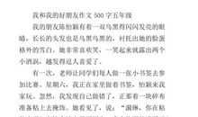 我的小伙伴作文三年级