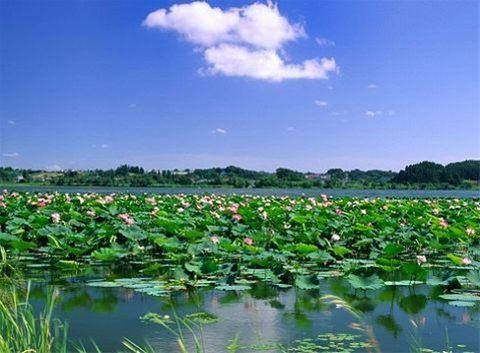 游览微山湖