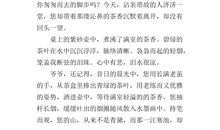 我心中的宝藏作文700字