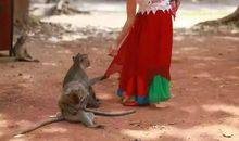 我还想做大自然的孩子