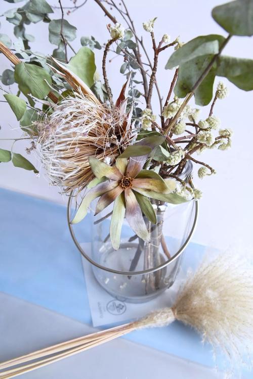 植物气味