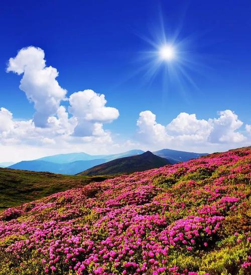 花间