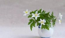 不忘初心追求真我