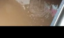 就这样无可奈何的长大了