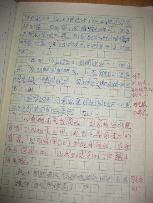 我的开心果爸爸