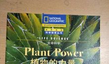 植物王国的神奇力量