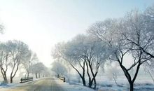 北风妈妈和春风妈妈