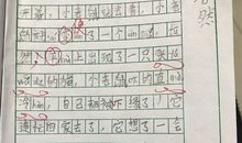 猫和老鼠作文二年级上册看图写话