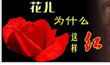 分数为什么这样红