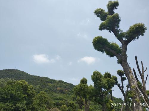 石榜山