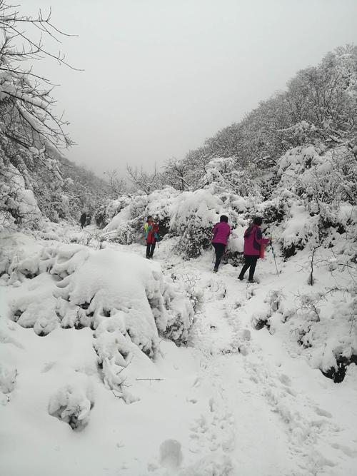 遇见雪