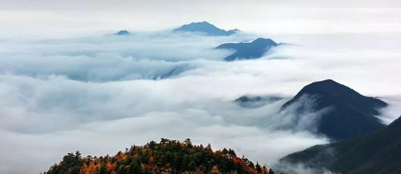 明月山旅游须知