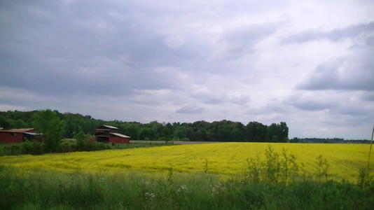 五月的乡村景色