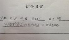 护“蛋”日记