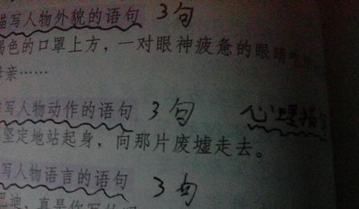300个字的字符描述