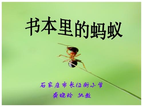 书中的蚂蚁