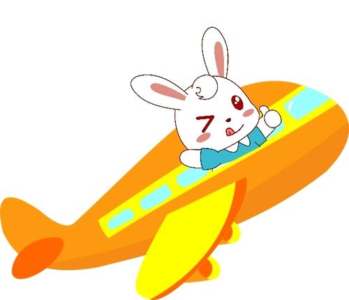 飞翔的小白兔