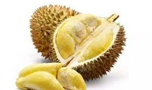 介绍榴莲