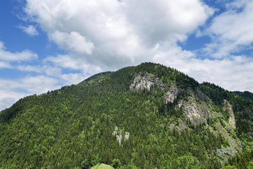 夏山