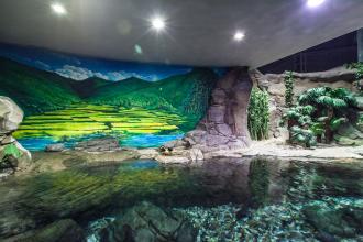 参观上海海洋水族馆
