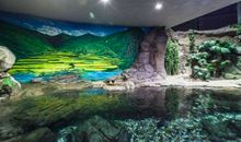 参观上海海洋水族馆