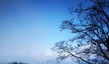 那一场迷人的雪