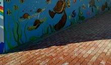 重温幼儿园美好时光