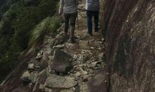 让生命缓慢的成长