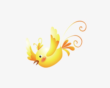 如果我是只可爱的鸟