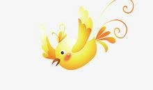 假如我是一只可爱的小鸟