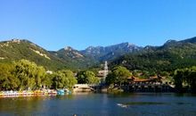 风景如画，虎山如猫